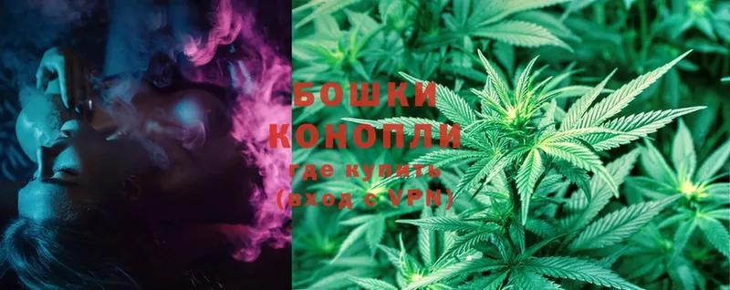 Бошки марихуана White Widow  это клад  Сорск  сколько стоит 